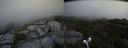 ./images/calvert/buxton2/20190712/buxton220190712_154951M.jpg