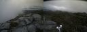 ./images/calvert/buxton2/20190712/buxton220190712_182951M.jpg