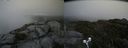 ./images/calvert/buxton2/20190712/buxton220190712_184951M.jpg