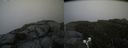 ./images/calvert/buxton2/20190712/buxton220190712_200451M.jpg