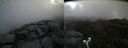 ./images/calvert/buxton2/20190713/buxton220190713_091451M.jpg