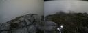 ./images/calvert/buxton2/20190713/buxton220190713_102451M.jpg