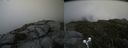 ./images/calvert/buxton2/20190714/buxton220190714_102451M.jpg