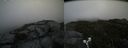 ./images/calvert/buxton2/20190714/buxton220190714_105451M.jpg