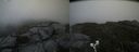 ./images/calvert/buxton2/20190716/buxton220190716_151951M.jpg