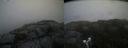 ./images/calvert/buxton2/20190716/buxton220190716_153951M.jpg
