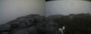 ./images/calvert/buxton2/20190716/buxton220190716_154951M.jpg