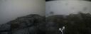 ./images/calvert/buxton2/20190716/buxton220190716_160451M.jpg
