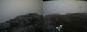 ./images/calvert/buxton2/20190716/buxton220190716_161451M.jpg