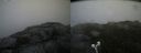 ./images/calvert/buxton2/20190716/buxton220190716_161951M.jpg
