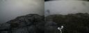 ./images/calvert/buxton2/20190716/buxton220190716_162451M.jpg