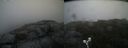 ./images/calvert/buxton2/20190716/buxton220190716_162951M.jpg