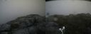 ./images/calvert/buxton2/20190716/buxton220190716_163951M.jpg