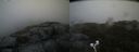 ./images/calvert/buxton2/20190716/buxton220190716_164451M.jpg