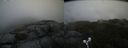 ./images/calvert/buxton2/20190716/buxton220190716_165451M.jpg