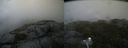 ./images/calvert/buxton2/20190716/buxton220190716_170950M.jpg