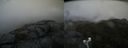 ./images/calvert/buxton2/20190716/buxton220190716_173951M.jpg