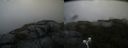 ./images/calvert/buxton2/20190716/buxton220190716_181451M.jpg