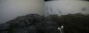 ./images/calvert/buxton2/20190716/buxton220190716_183451M.jpg