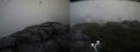 ./images/calvert/buxton2/20190716/buxton220190716_185950M.jpg