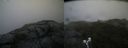 ./images/calvert/buxton2/20190716/buxton220190716_190451M.jpg