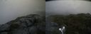 ./images/calvert/buxton2/20190716/buxton220190716_200451M.jpg