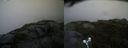 ./images/calvert/buxton2/20190716/buxton220190716_201451M.jpg
