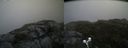 ./images/calvert/buxton2/20190717/buxton220190717_145451M.jpg