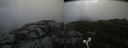 ./images/calvert/buxton2/20190717/buxton220190717_152451M.jpg