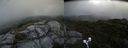 ./images/calvert/buxton2/20190717/buxton220190717_164951M.jpg