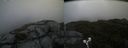 ./images/calvert/buxton2/20190717/buxton220190717_170950M.jpg