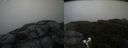 ./images/calvert/buxton2/20190717/buxton220190717_192451M.jpg