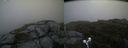 ./images/calvert/buxton2/20190717/buxton220190717_200451M.jpg