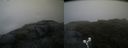 ./images/calvert/buxton2/20190718/buxton220190718_062451M.jpg