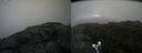 ./images/calvert/buxton2/20190718/buxton220190718_084451M.jpg