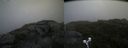 ./images/calvert/buxton2/20190718/buxton220190718_112451M.jpg