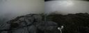 ./images/calvert/buxton2/20190723/buxton220190723_170450M.jpg
