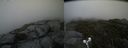 ./images/calvert/buxton2/20190723/buxton220190723_175450M.jpg