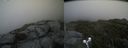 ./images/calvert/buxton2/20190723/buxton220190723_180451M.jpg