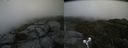 ./images/calvert/buxton2/20190723/buxton220190723_180951M.jpg