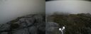 ./images/calvert/buxton2/20190723/buxton220190723_182450M.jpg