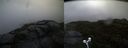 ./images/calvert/buxton2/20190725/buxton220190725_055450M.jpg