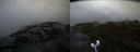 ./images/calvert/buxton2/20190725/buxton220190725_055950M.jpg