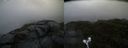 ./images/calvert/buxton2/20190725/buxton220190725_063950M.jpg