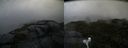 ./images/calvert/buxton2/20190725/buxton220190725_065450M.jpg