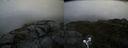 ./images/calvert/buxton2/20190725/buxton220190725_093451M.jpg
