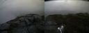 ./images/calvert/buxton2/20190725/buxton220190725_094451M.jpg