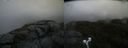 ./images/calvert/buxton2/20190725/buxton220190725_095952M.jpg