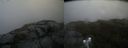./images/calvert/buxton2/20190725/buxton220190725_104450M.jpg