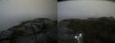 ./images/calvert/buxton2/20190725/buxton220190725_105450M.jpg